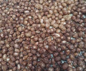 Masakan Populer Kacang disco kacang telur praktis Enak Sederhana Masakan Populer Kacang disco kacang telur praktis Enak Sederhana