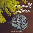 Overnight oatmisù