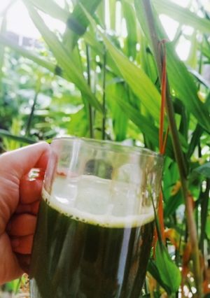 Foto resep Morning Healthy Spinach Smoothies