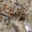 Opor Ayam Bumbu Bamboe