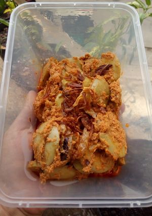 Foto resep Rendang/ kaleo teri jengkol
