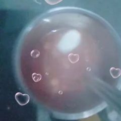 A picture of Tomato Soup.