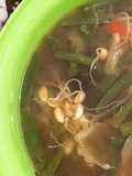 Sayur Asem Kecapar