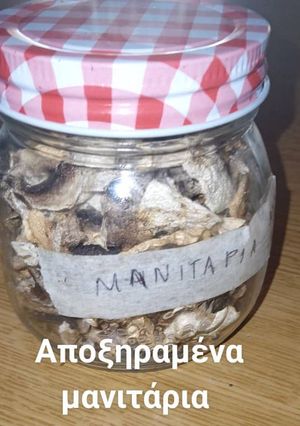 Φωτογραφία της συνταγής Αποξήρανση μανιταριών σε oven/fryer σε 3 30 ώρες