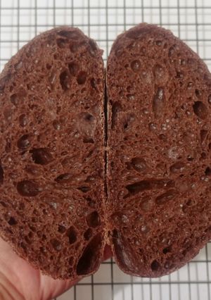 Foto resep Brownie Sourdough Bread (Open Bake Method)
