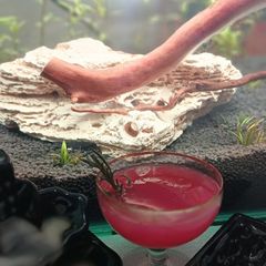 A picture of Smoked Rosemary Grapefruit/Pomegranate/Orange/Lemon Mocktail.