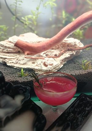 A picture of Smoked Rosemary Grapefruit/Pomegranate/Orange/Lemon Mocktail.