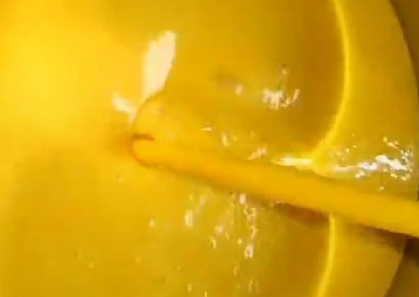 Mango Milk Shake