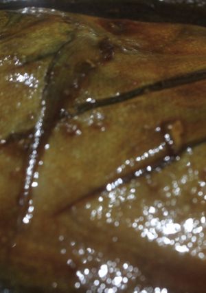Foto resep Ikan bakar kecap gurih