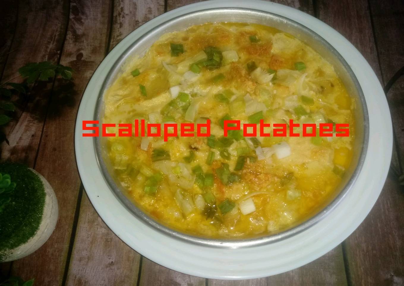 231. Scalloped Potatoes