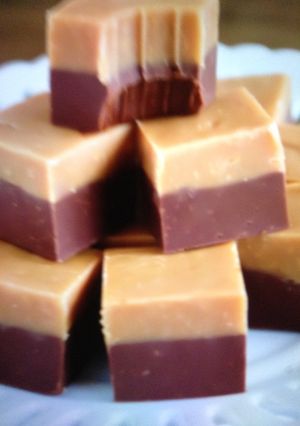 A picture of Chocolate peanut butter double deckers .