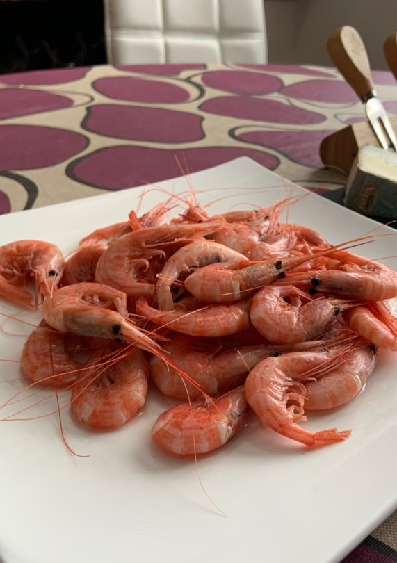 Una foto de Quisquilla hervida
