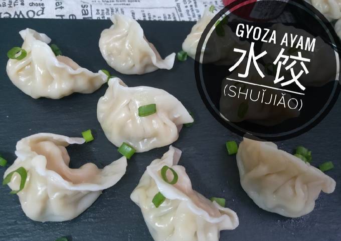 Gyoza ayam chicken dumpling