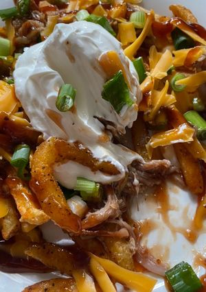 A picture of Loaded Pulled pork fries.