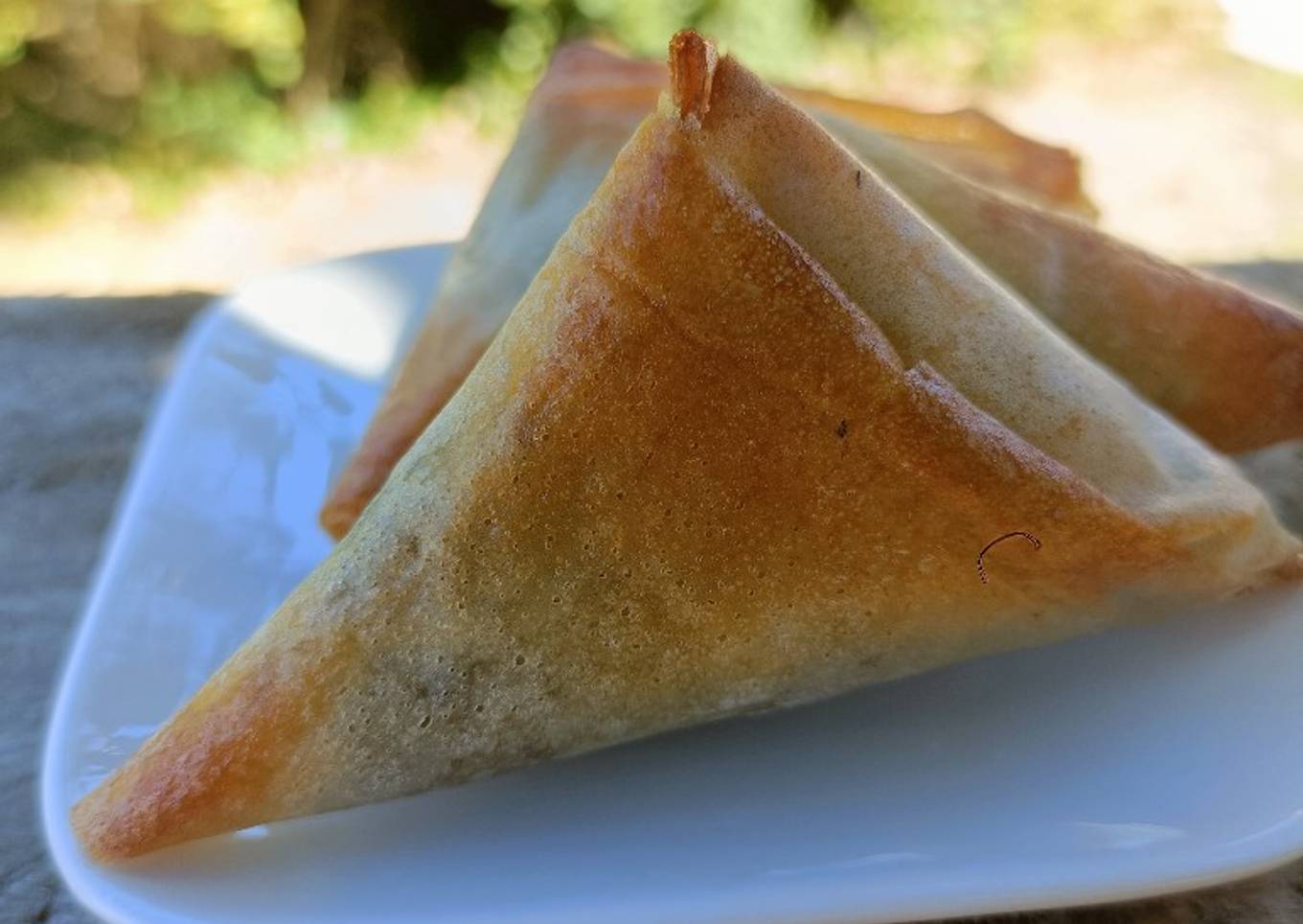 🌱Samoussas Végétariens