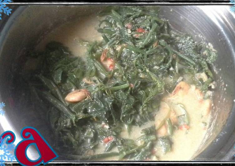 Resep Sayur Santan Daun Labu - Dang (daun labu dan udang) yang mudah