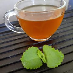 A picture of Mint Herbal Chai.