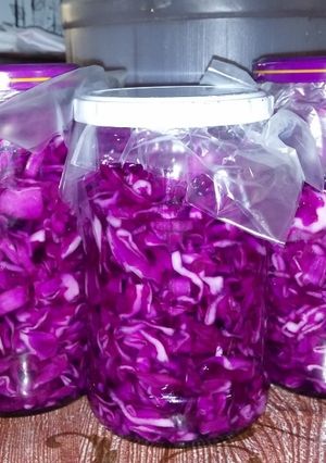 عکسی از دستور ترشی کلم
