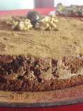 قاطو الشوكولا والجوز Gâteau au chocolat et noix