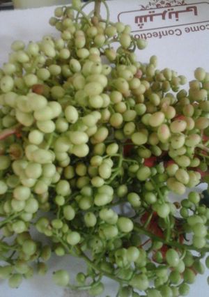 عکسی از دستور ترشی بنه یا پسته ی کوهی
