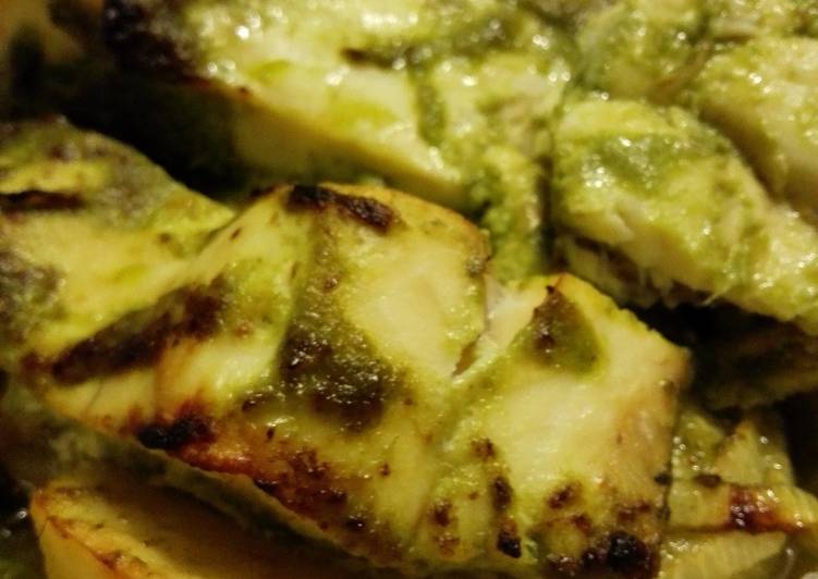 Fogonero en mojo de cilantro