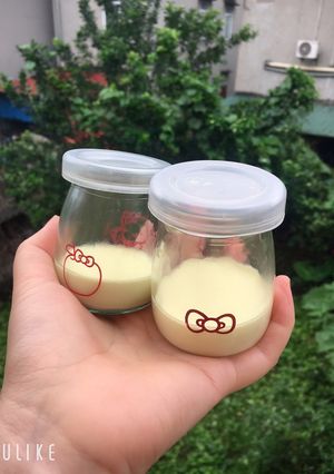 Hình của món Flan sữa mẹ 🍮.