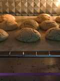 Galletas de avena y maicena (vegana)