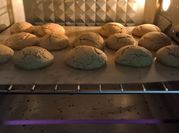 Una foto de galleta de avena y maizena