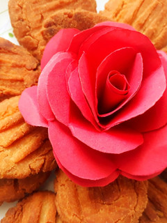 ठेकुआ (thekua recipe in Hindi) रेसिपी मुख्य फोटो