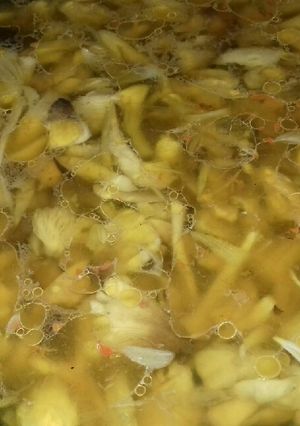 Foto resep Kulat sawit (jamur sawit)