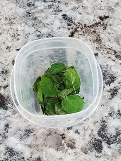 A picture of Drying Basil the Fast Way.