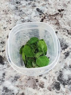 A picture of Drying Basil the Fast Way.
