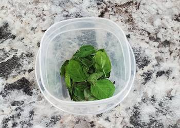Easiest Way to Prepare Perfect Drying Basil the Fast Way