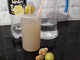 આમળા જ્યુસ(Amla Juice Recipe in Gujarati)