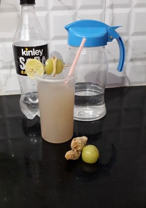 આમળા જ્યુસ(Amla Juice Recipe in Gujarati) રેસીપી મુખ્ય ફોટો