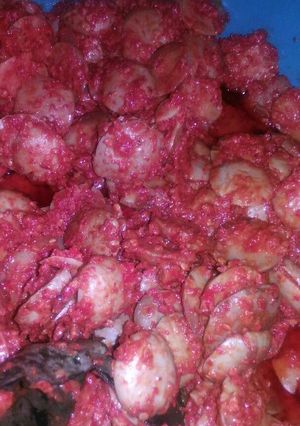 Foto resep Jengkol Balado Hot