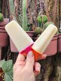 🍈 Palito helado de crema de melón - Melona® 🍈