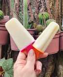 🍈 Palito helado de crema de melón - Melona® 🍈