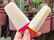 Una foto de helado de melon