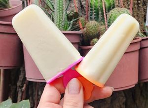 Una foto de 🍈 Palito helado de crema de melón - Melona® 🍈