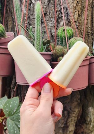Una foto de 🍈 Palito helado de crema de melón - Melona® 🍈