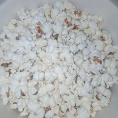 Popcorn A picture of Popcorn.