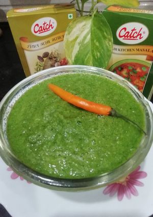 A picture of Mint Peanut & Sev Chutney.