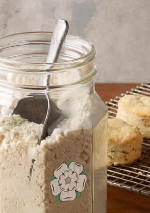 A picture of Basic Baking Mix.
