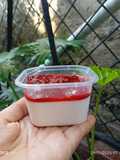 Strawberry Panna Cotta