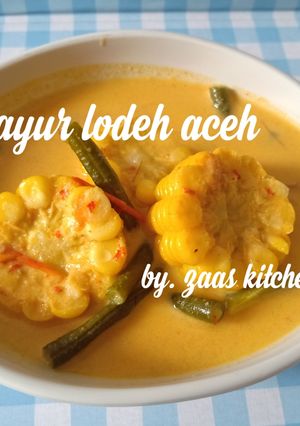 Foto resep Sayur lodeh aceh