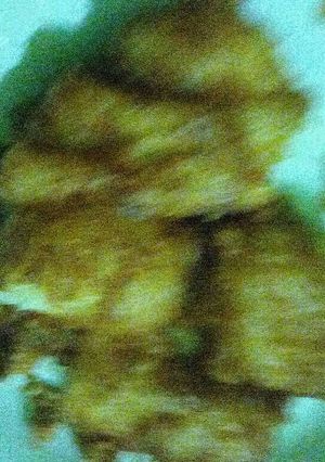Foto resep Tape goreng crispy