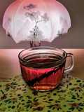 Infusión de cascarilla de rosa mosqueta y canela