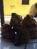 Masa choux (croquembouche)