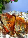 Ikan Goreng Cara Air Fryer